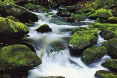 Bí ẩn dòng suối thánh Lourdes